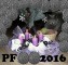 PF 2016