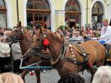 Nálezy tak tochu jinak - Postroje na koně