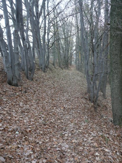 Před soc kačka.