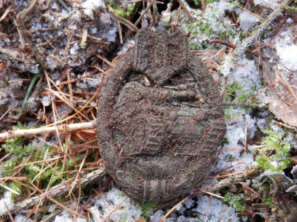 Panzerkampfwagenabzeichen in Bronze