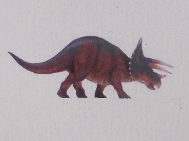 Koprolit dinosaura - TRICERATOPS