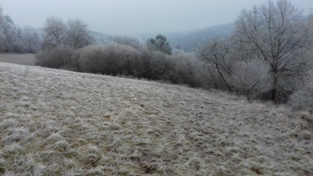 Silvestrovská procházka s detektorem