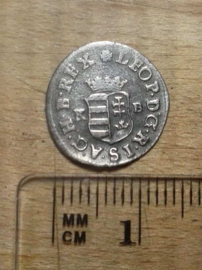 Ag Duarius 1703