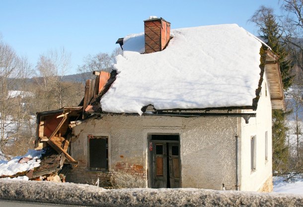 Jedna mrška z lesa..