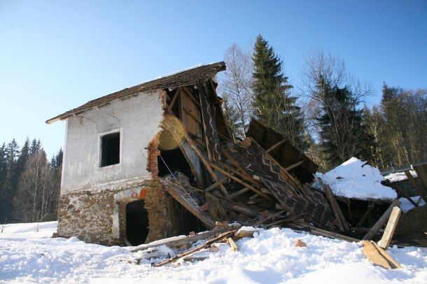 Jedna mrška z lesa..