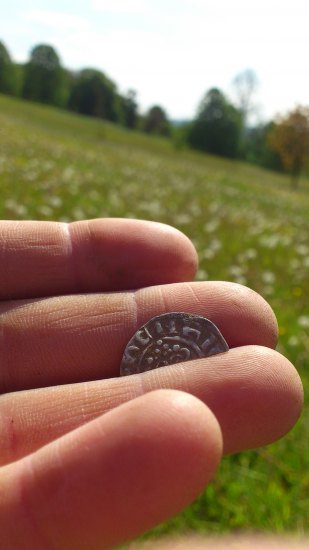 Henry II cut half