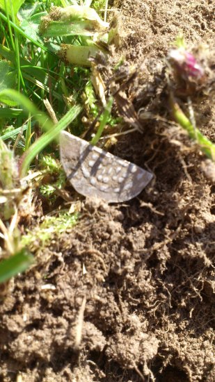 Henry II cut half