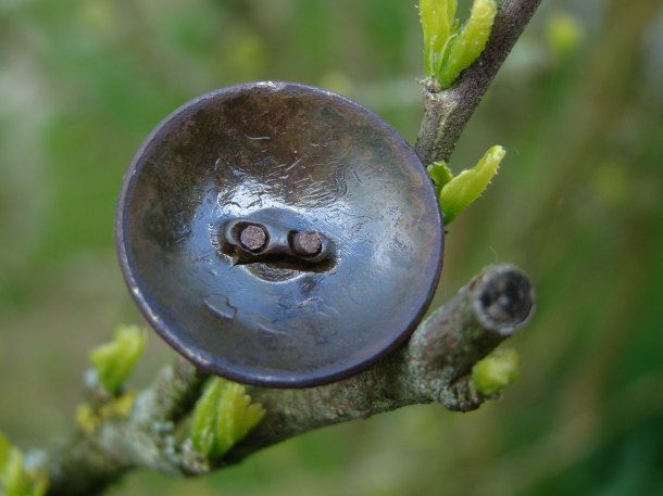 Knoflík Carské Rusko (WWI)