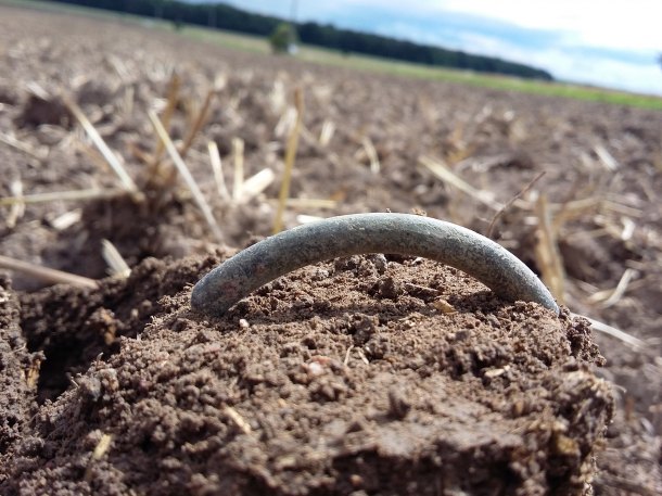 Zelenina nebo šrot?