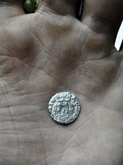 Peníz Václava IV. z let 1383-1384