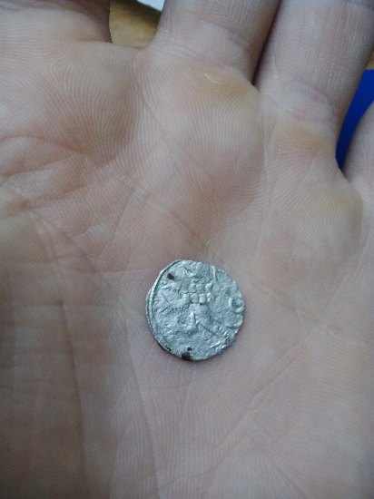 Peníz Václava IV. z let 1383-1384