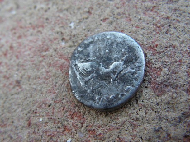 Vespasianus Titus Flavius 69-79 - denár