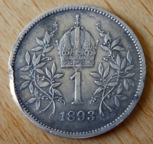 Koruna 1893