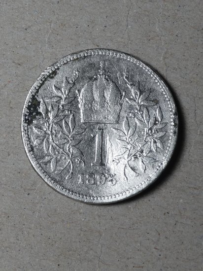 Koruna 1895