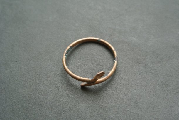 Hadí ring