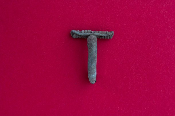 Fibula