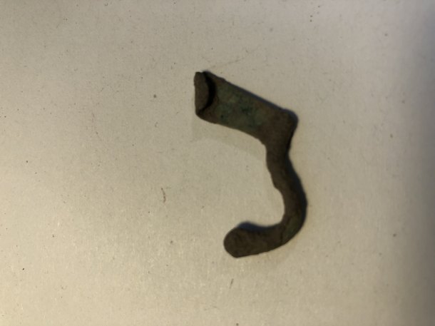 Fibula