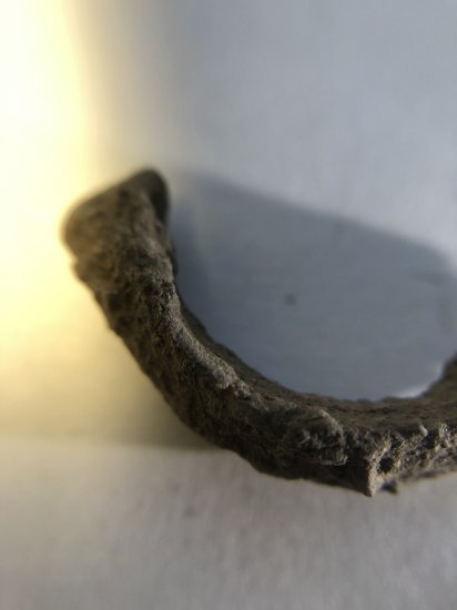 Fibula