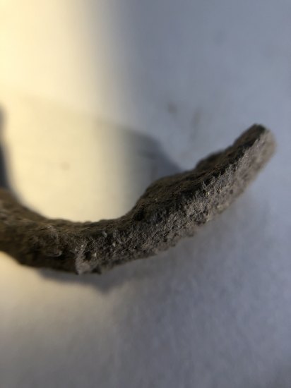 Fibula