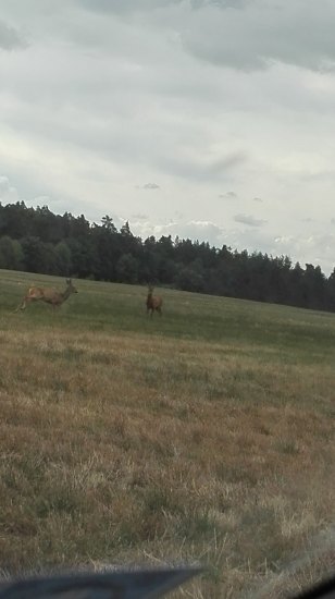 Konečně zase stříbro