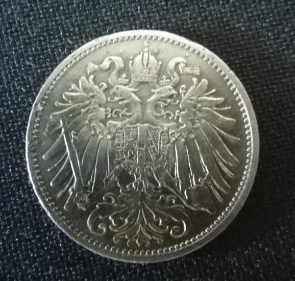 20 heller 1894