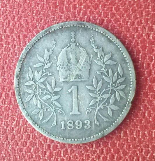 Koruna 1893