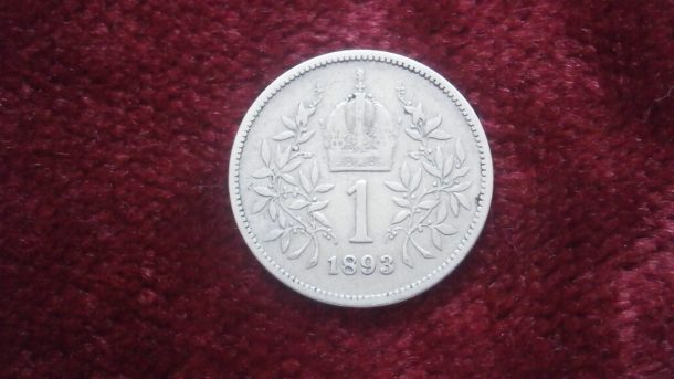 Koruna 1893