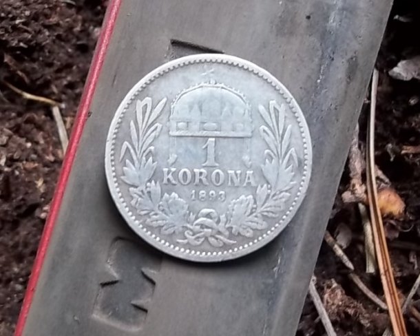 1 korona