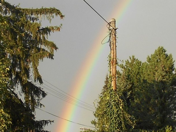 Značená podkova na ozubu