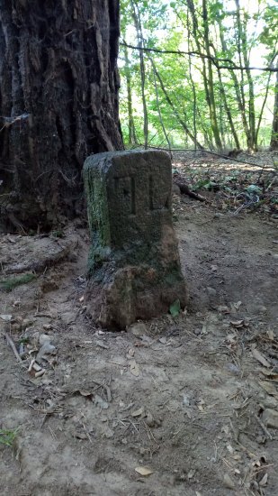 Akce hraničák a za odměnu hříbky