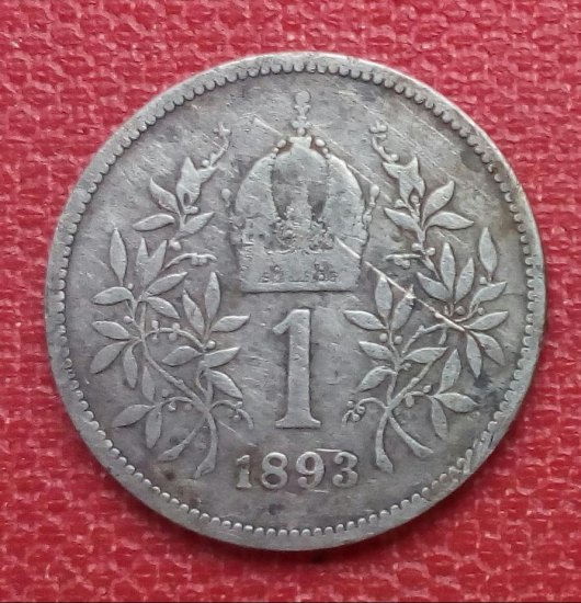 Koruna 1893