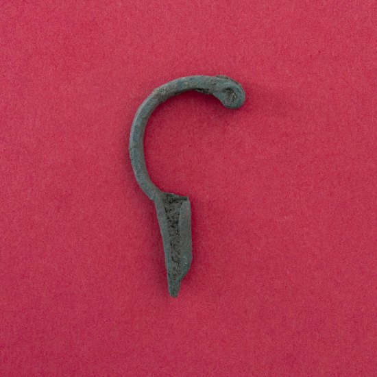 Fibula