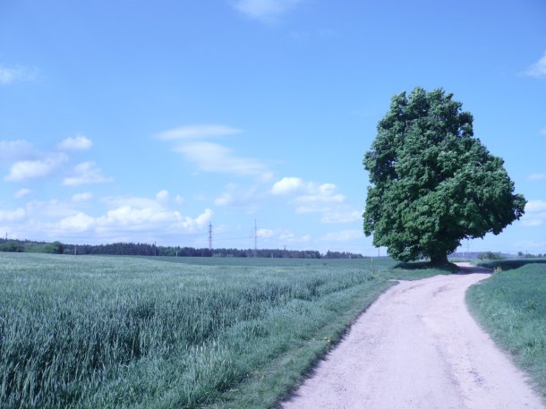 Island beach, Long beach, Třebíč