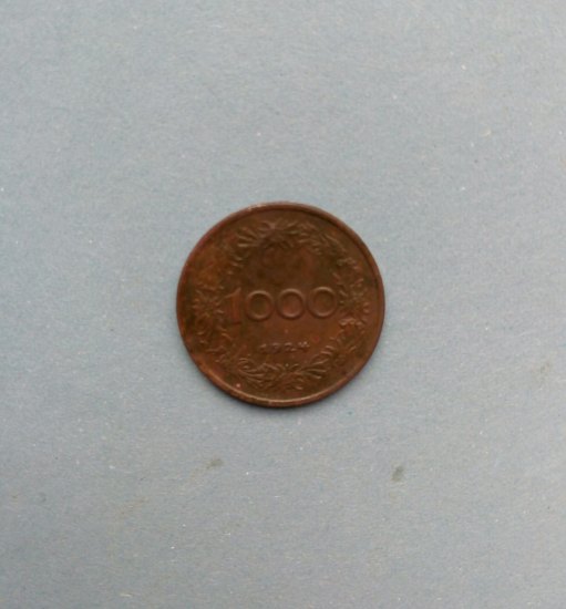 1000 kronen 1924