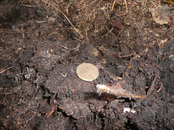 Depůtek Mařky od studánky.