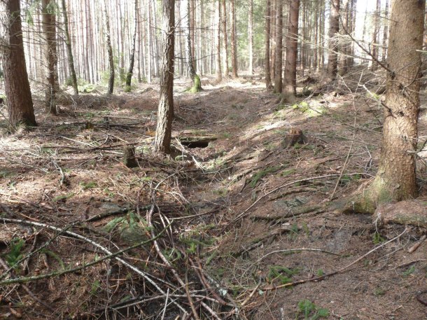 Depůtek Mařky od studánky.