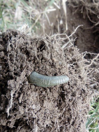 Bronzový fragment náramku.