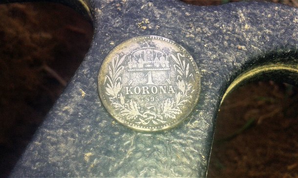 1 Korona 1895