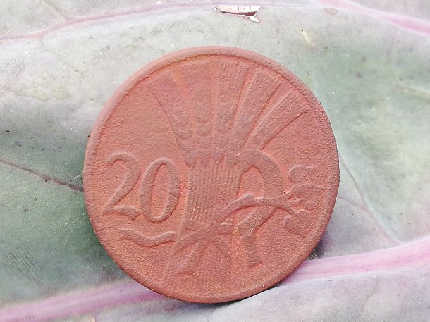 20 haléř