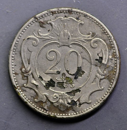 20 Heller 1895