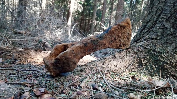 Tatík otopořil (silného) Hostivíta