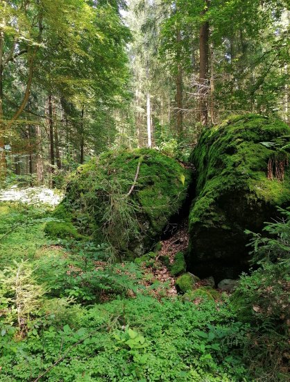 Fragment přezky