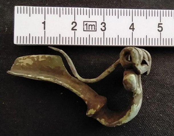 Fibula Rim (Almgren 45)