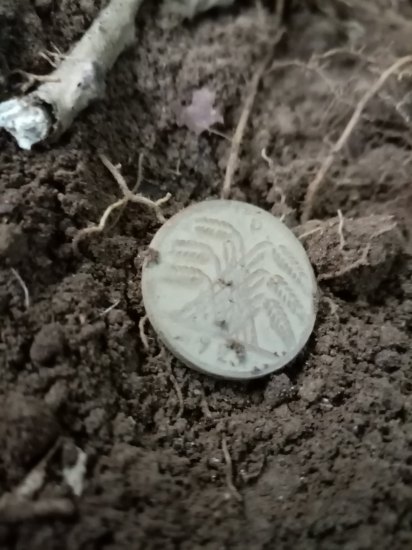 10 Reichspfennig 1929