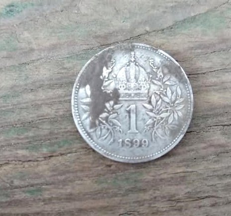 1 koruna 1899