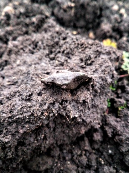 Fragment bronzového hrotu