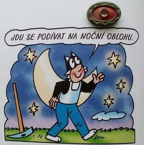 Oko polní