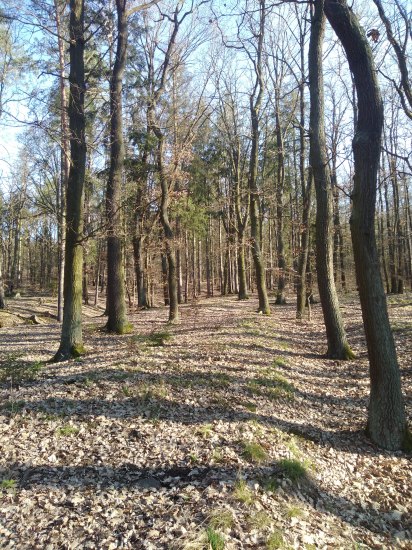 Potemník II., pohřben 100m od otce zakladatele