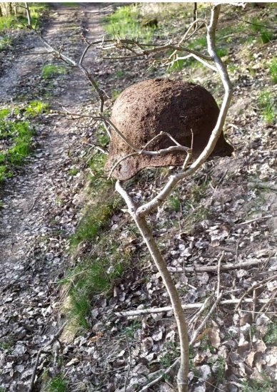 STAHLHELM