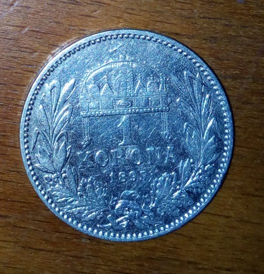 1 Korona (1895)